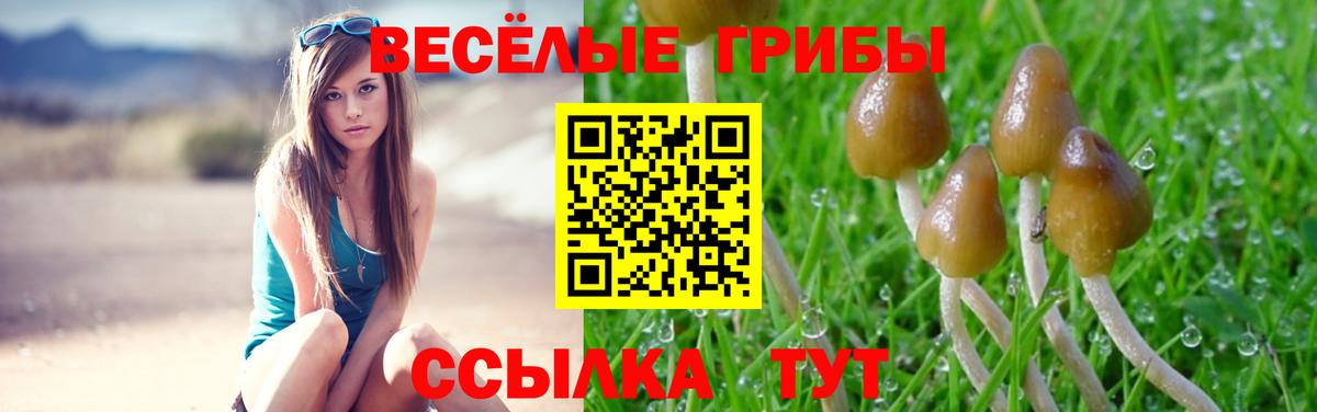 Псилоцибиновые грибы Magic Shrooms  Вход с VPN  Ухта 